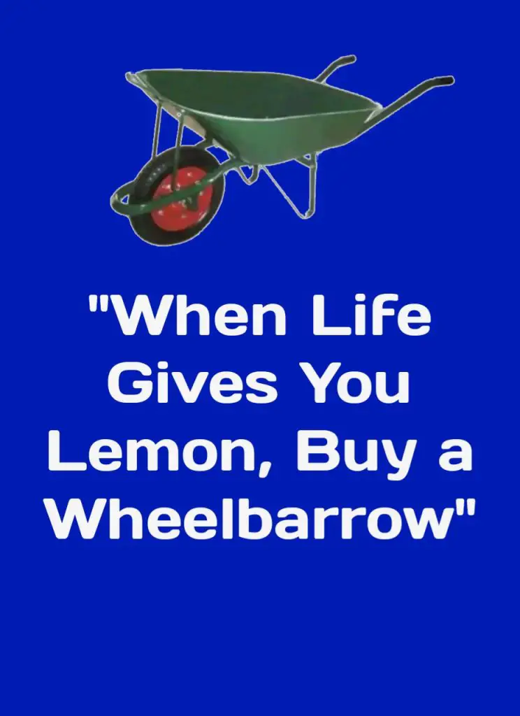 When Life Gives You Lemon, Buy a Wheelbarrow